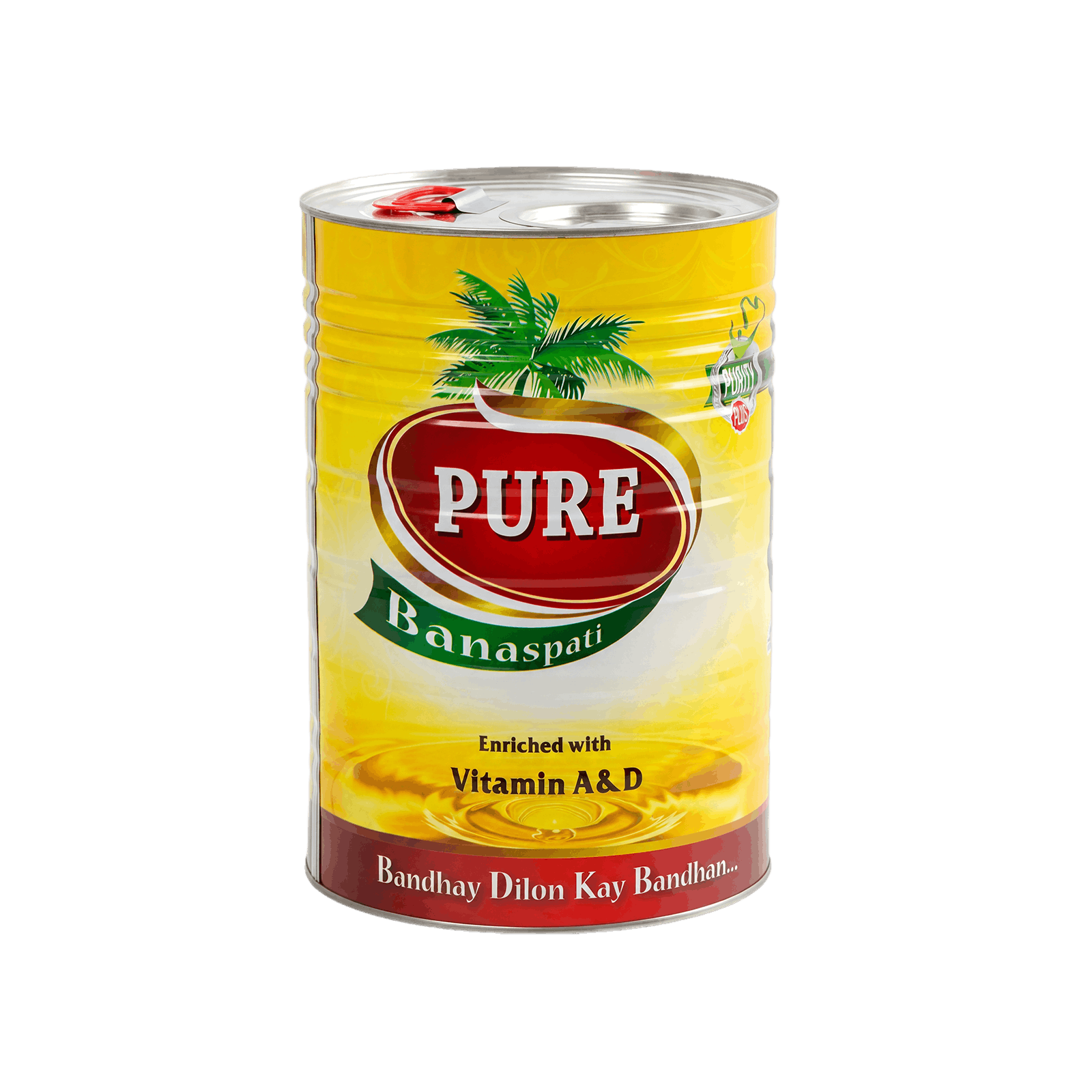 Pure BANASPATI TIN